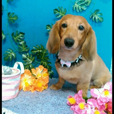 imgPL606247717_1468317859419