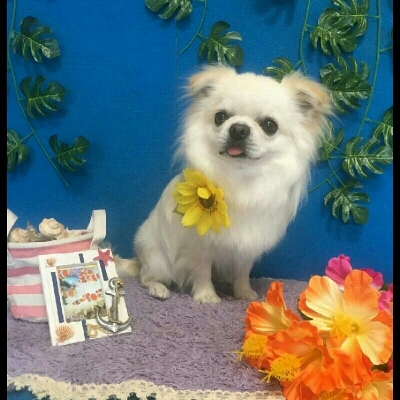 imgPL606247717_1468516938145