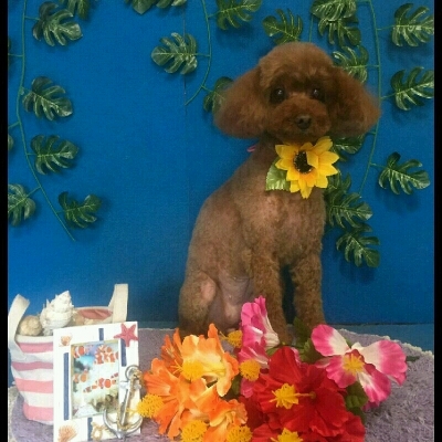 imgPL606247717_1468516938147