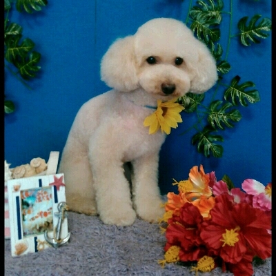 imgPL606247717_1468665808697