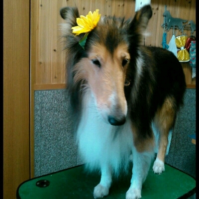 imgPL606247717_1470563944345