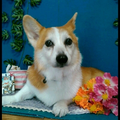 imgPL606247717_1470564761511