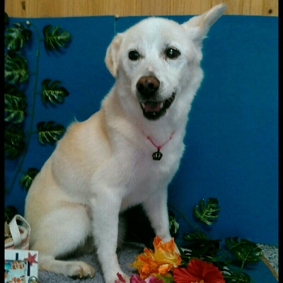 imgPL606247717_1470564761512