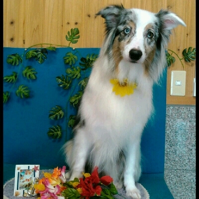 imgPL606247717_1470565735296