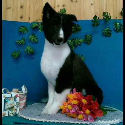 imgPL606247717_1470565735297