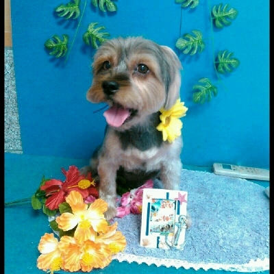 imgPL606247717_1470565735318