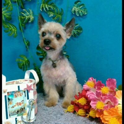 imgPL606247717_1470755078877