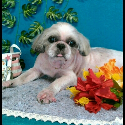 imgPL606247717_1471965284197