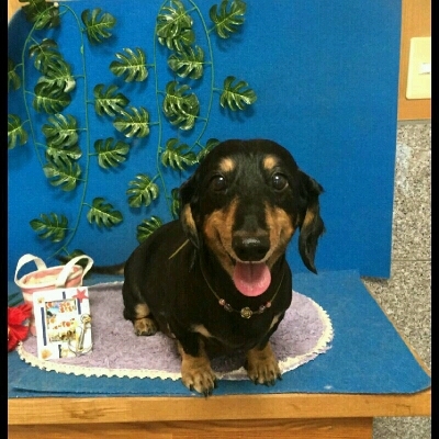 imgPL606247717_1471965757233