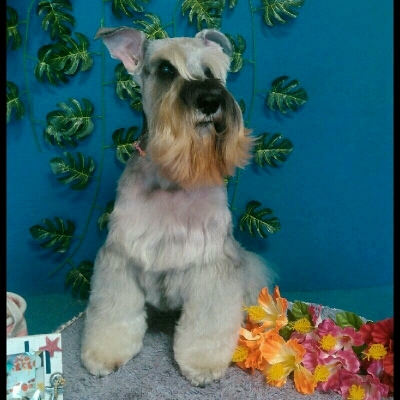 imgPL606247717_1471966982565